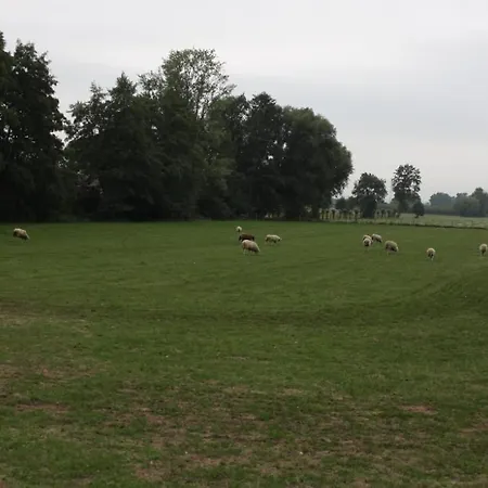 Neyengreve Accommodatie bij particulieren